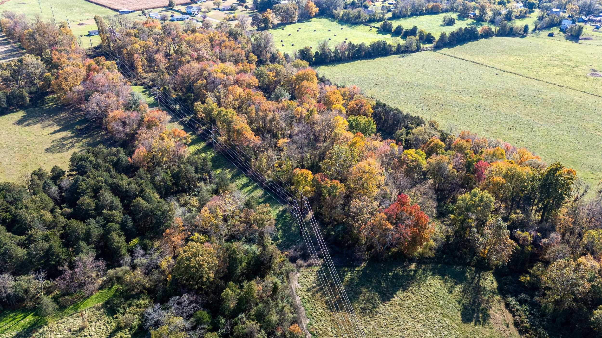 0 Dry Run Road Luray, VA 22835 - Photo 33 of 73