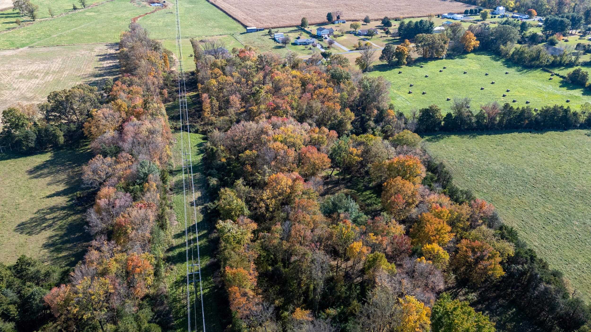 0 Dry Run Road Luray, VA 22835 - Photo 34 of 73
