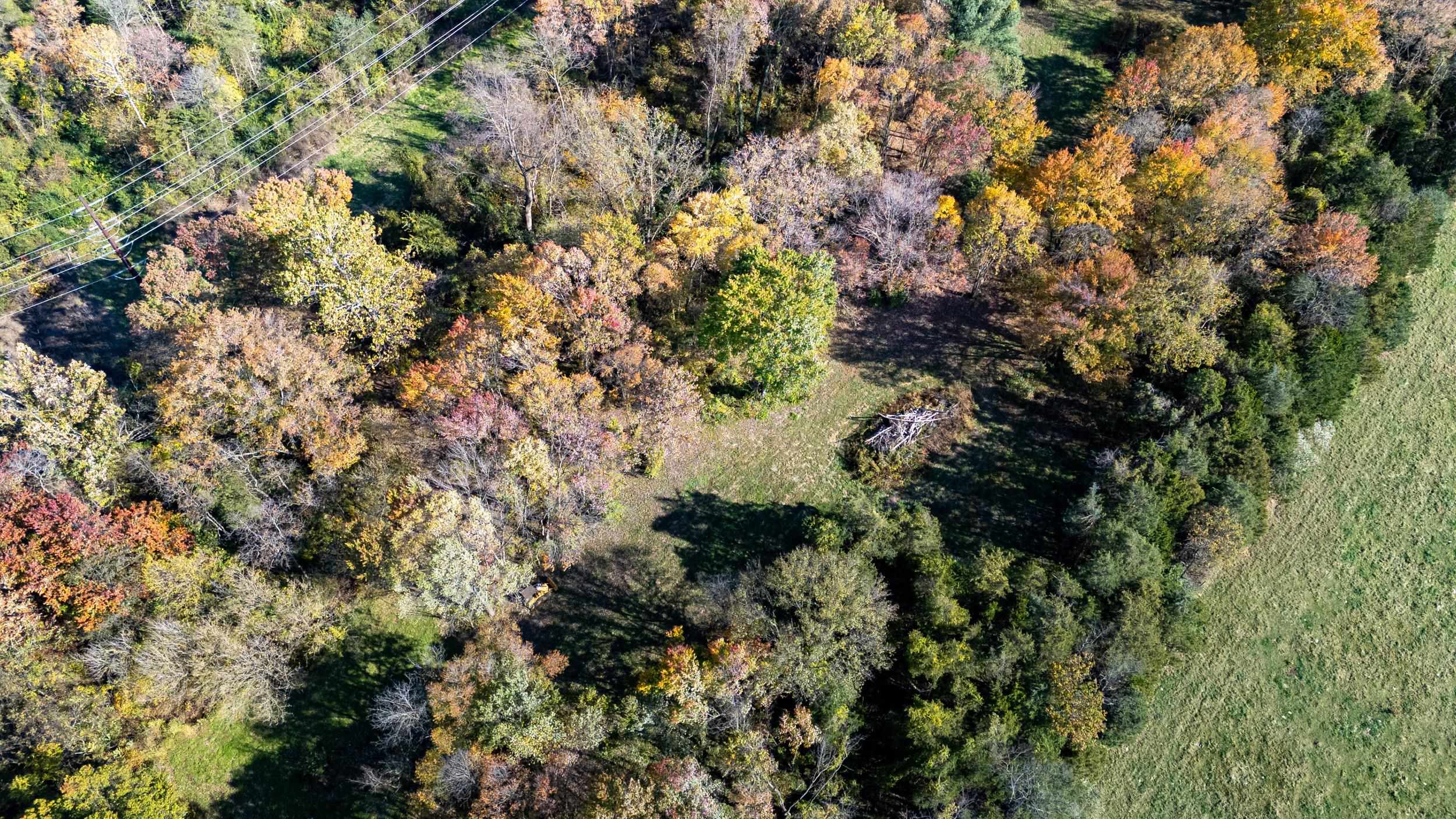 0 Dry Run Road Luray, VA 22835 - Photo 35 of 73 a view of a house with a lush green forest