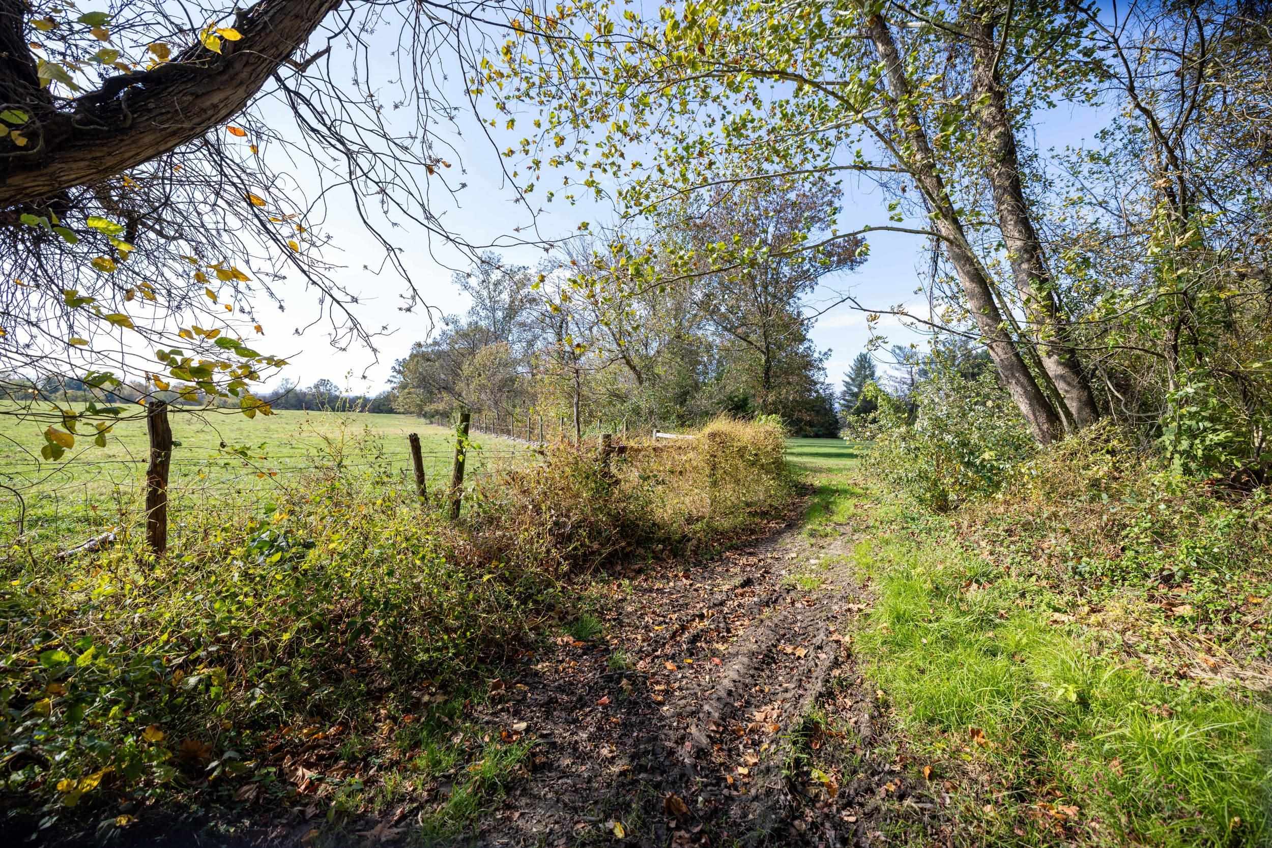 0 Dry Run Road Luray, VA 22835 - Photo 36 of 73