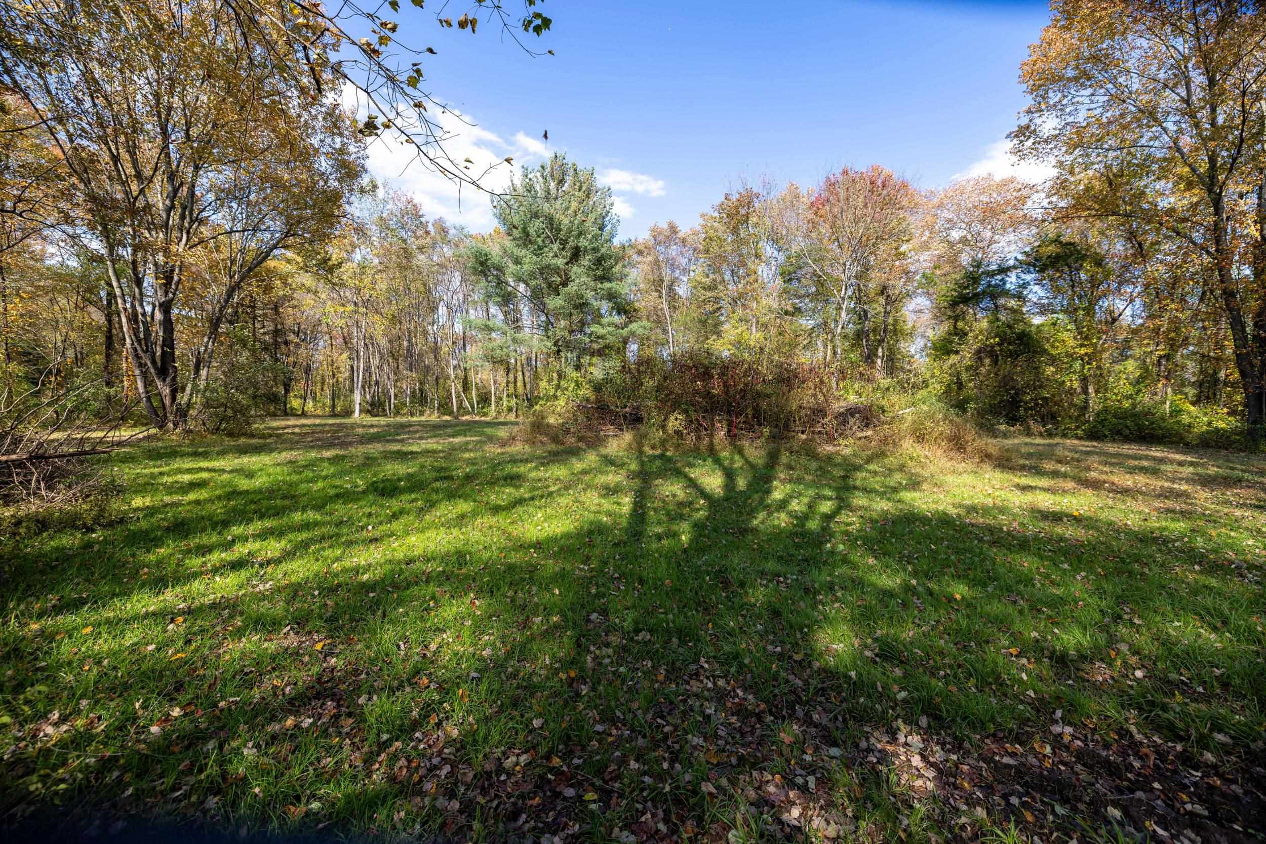0 Dry Run Road Luray, VA 22835 - Photo 38 of 73 a view of outdoor space with trees all around