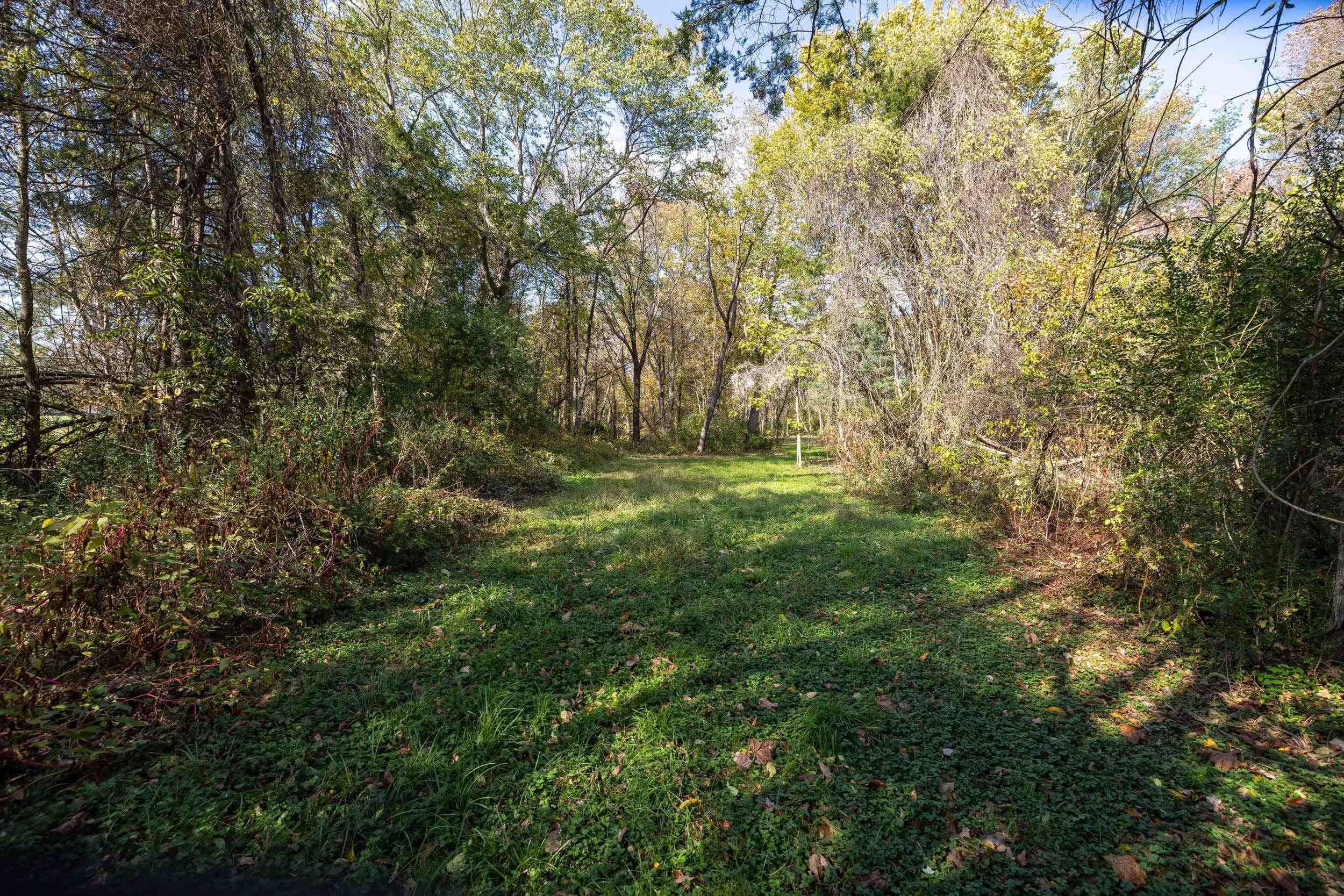 0 Dry Run Road Luray, VA 22835 - Photo 39 of 73