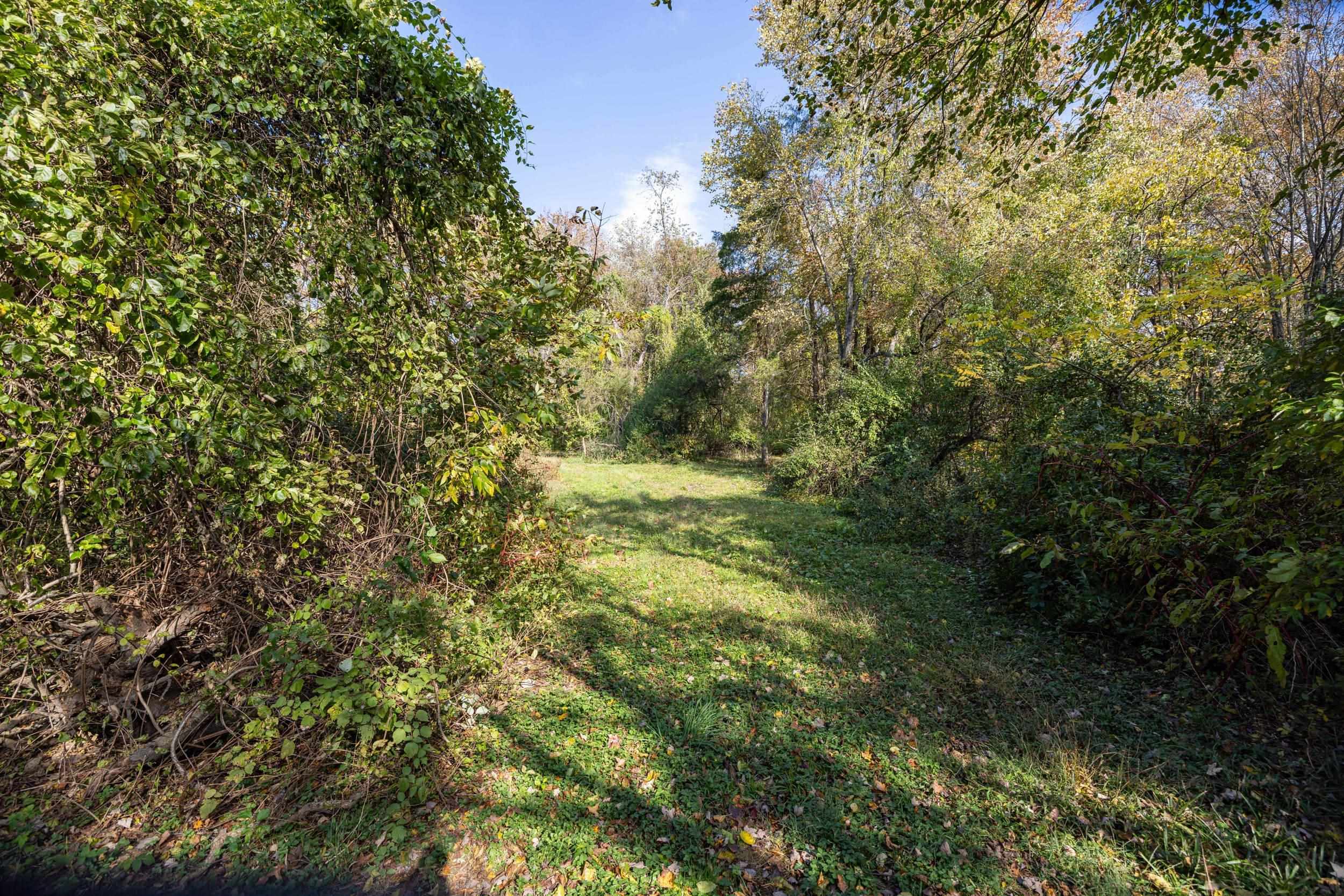 0 Dry Run Road Luray, VA 22835 - Photo 40 of 73