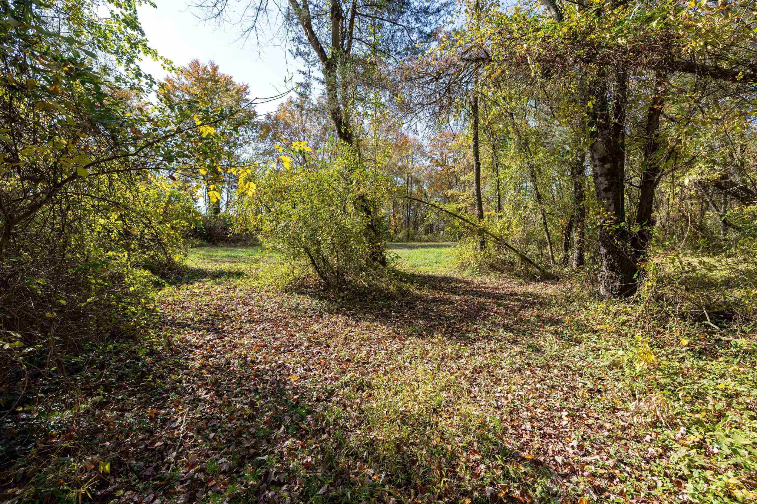 0 Dry Run Road Luray, VA 22835 - Photo 42 of 73 a view of outdoor space and a yard