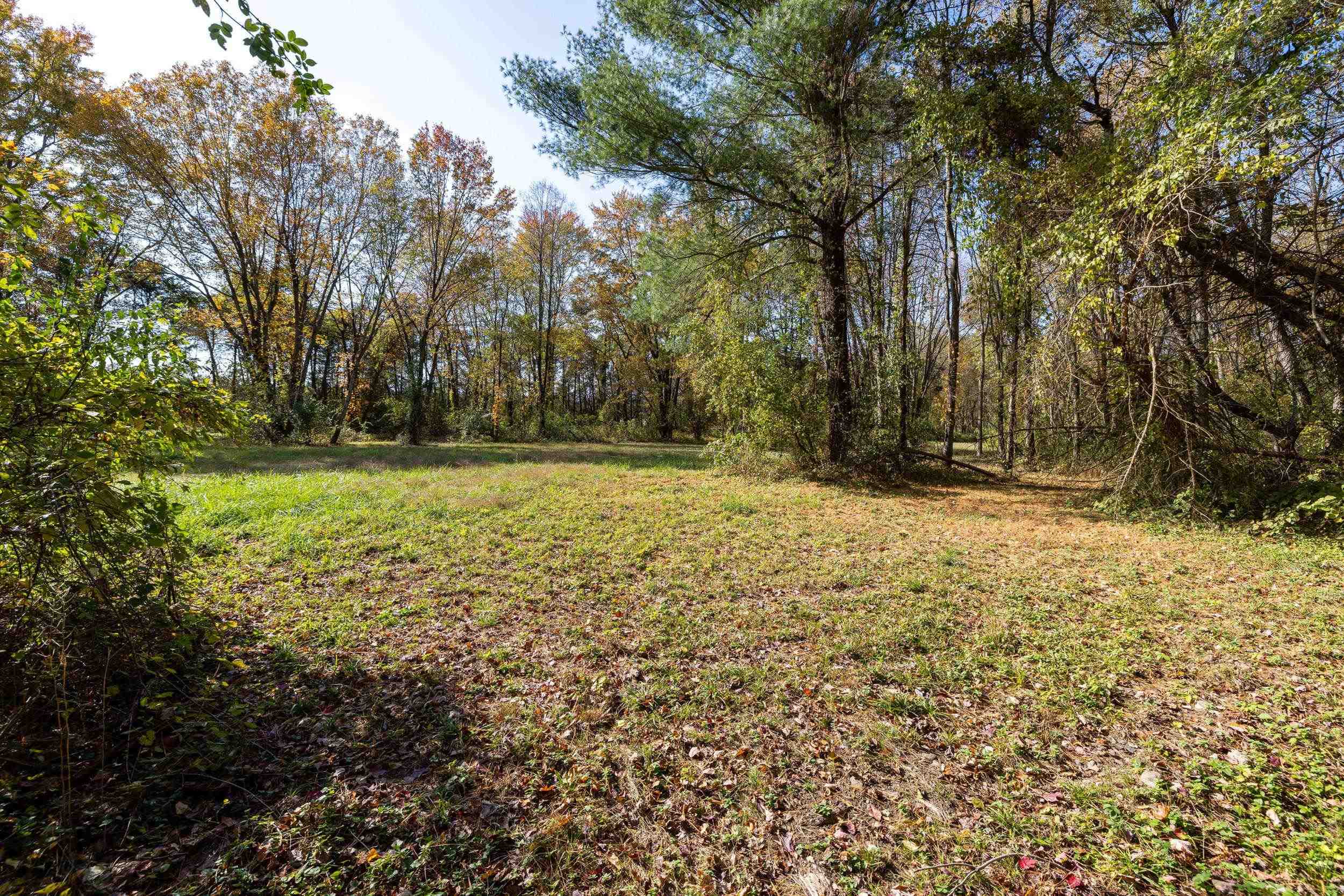 0 Dry Run Road Luray, VA 22835 - Photo 43 of 73 a view of outdoor space with trees