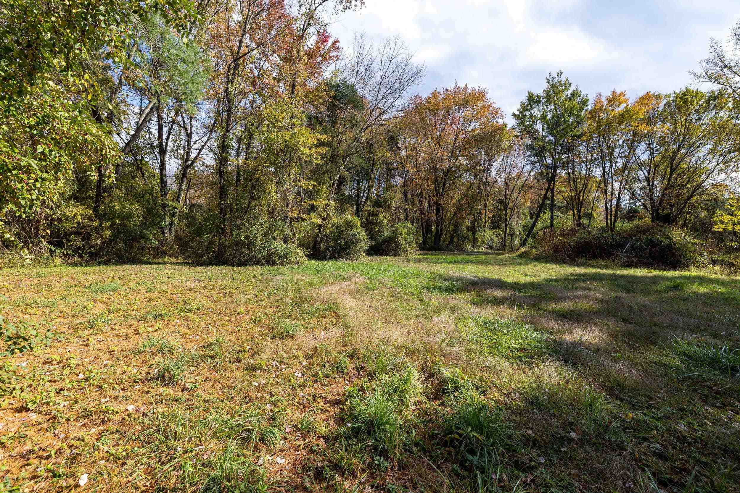 0 Dry Run Road Luray, VA 22835 - Photo 44 of 73 a view of outdoor space with trees all around
