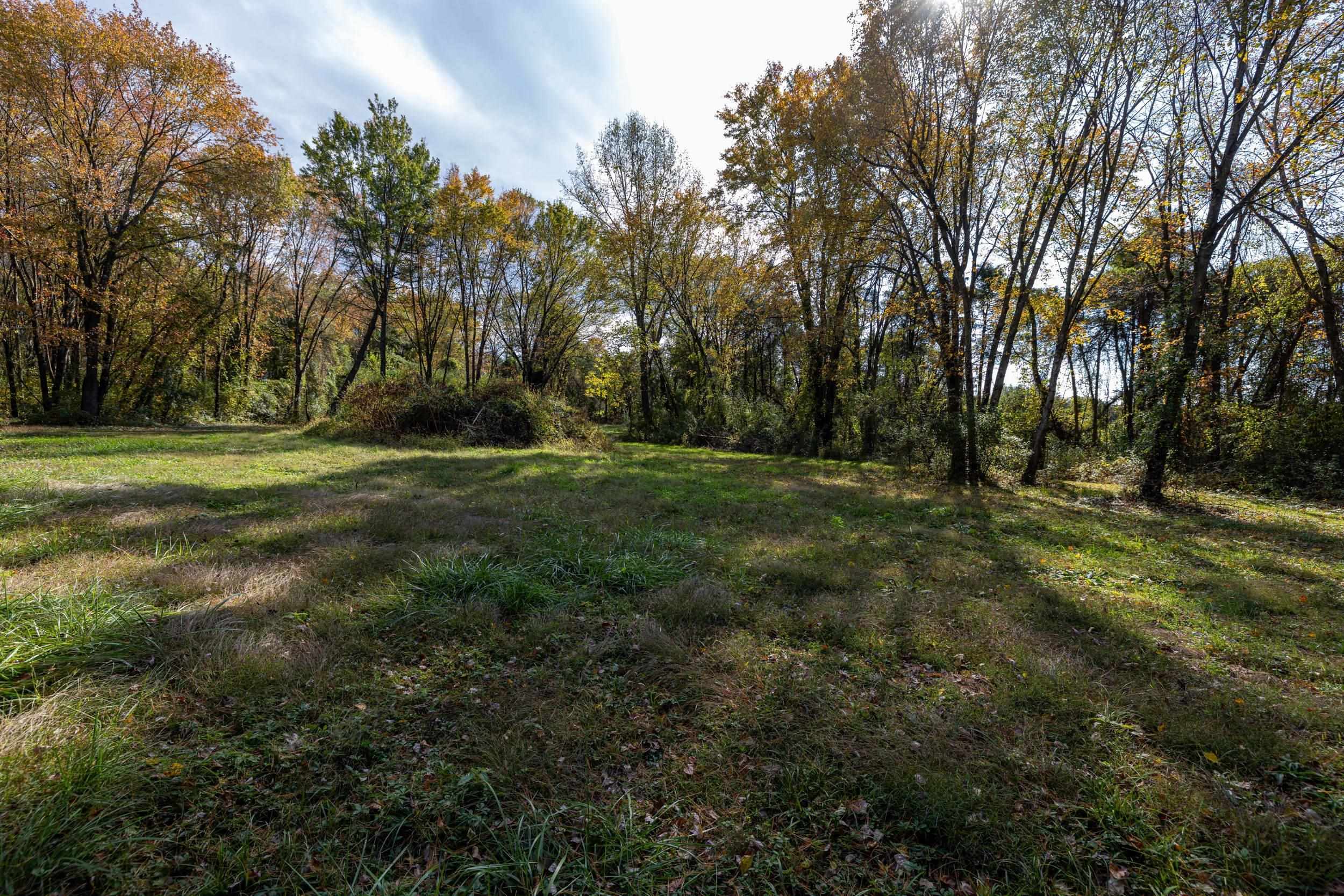 0 Dry Run Road Luray, VA 22835 - Photo 45 of 73 a big yard with lots of green space and trees