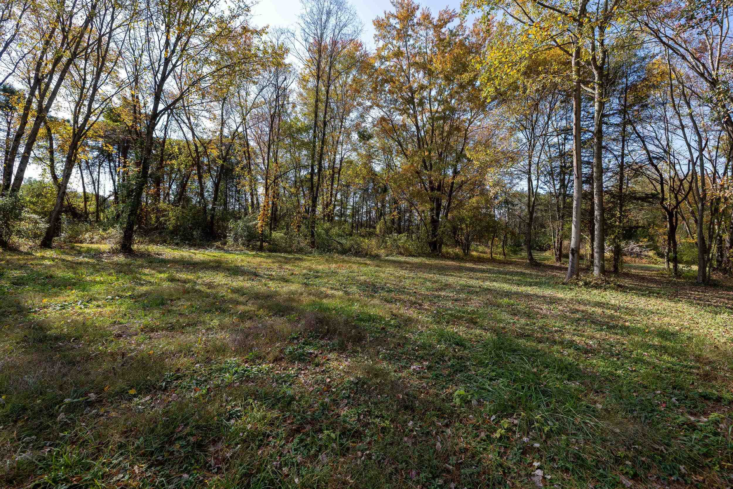 0 Dry Run Road Luray, VA 22835 - Photo 46 of 73 a view of outdoor space with trees