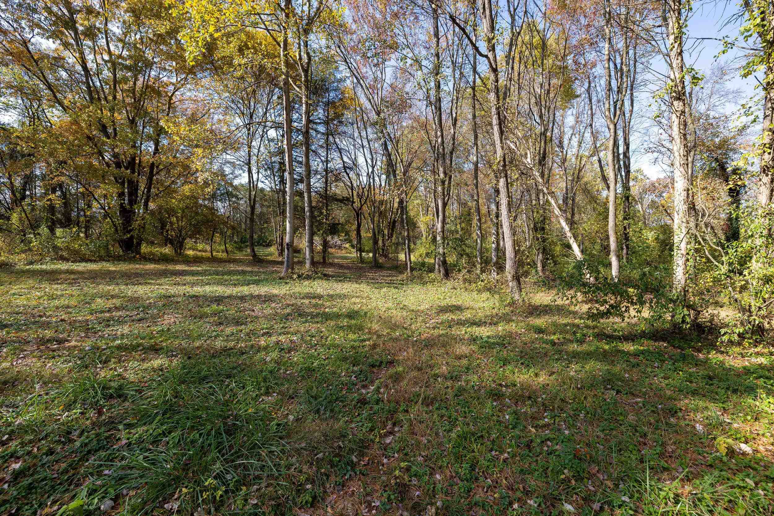 0 Dry Run Road Luray, VA 22835 - Photo 47 of 73 a view of outdoor space with trees all around