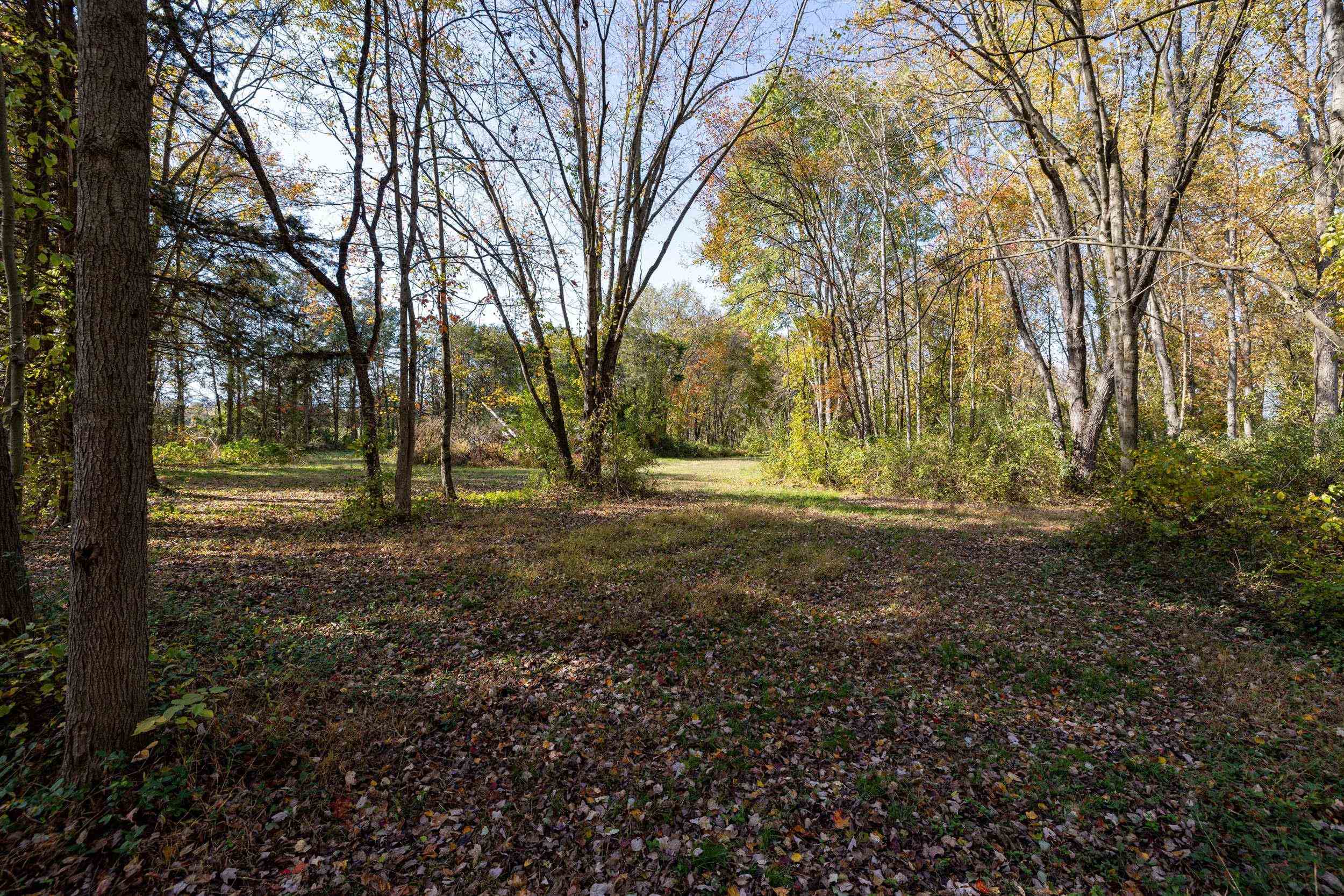 0 Dry Run Road Luray, VA 22835 - Photo 48 of 73 a view of outdoor space with trees