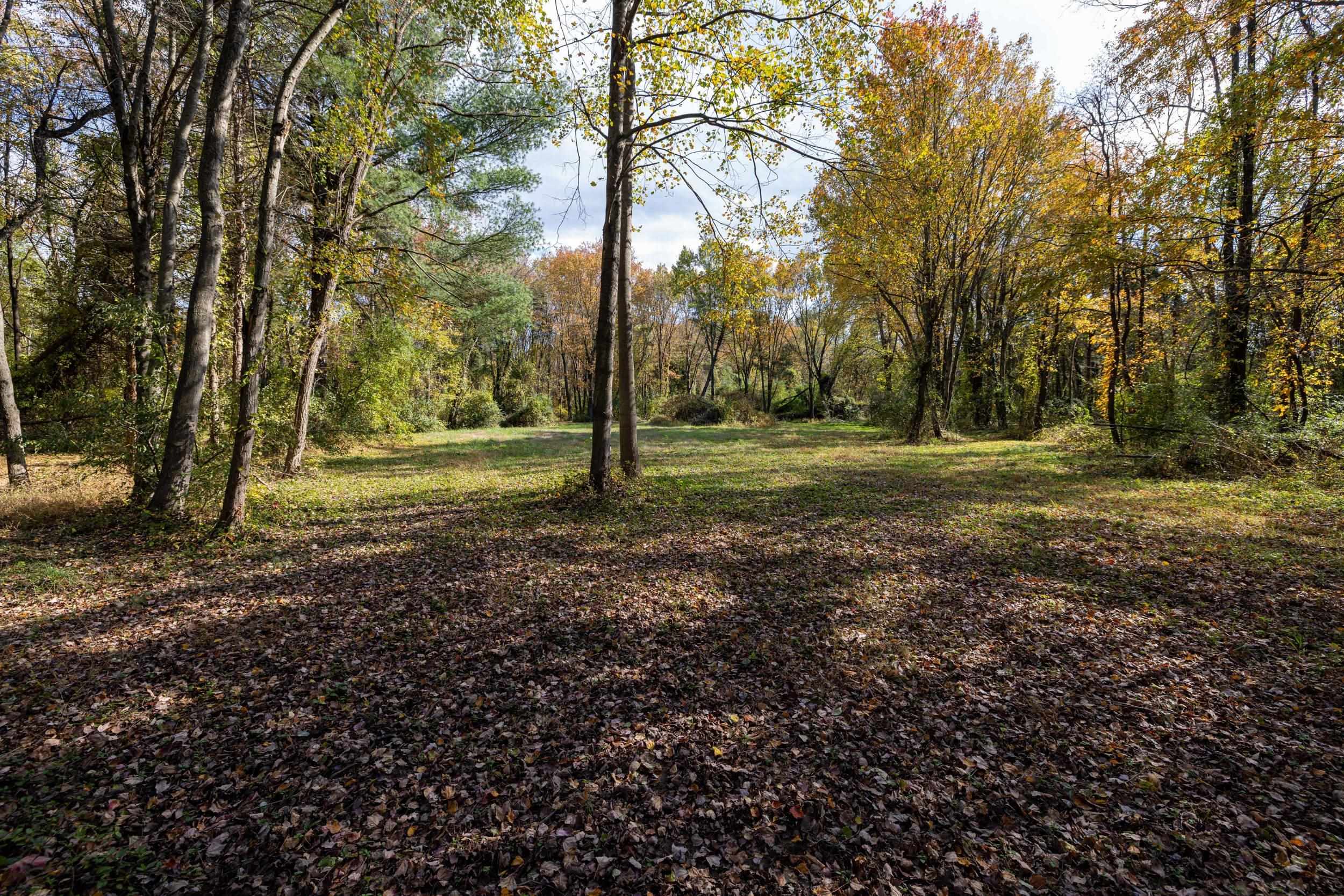 0 Dry Run Road Luray, VA 22835 - Photo 49 of 73 a view of a tree in the middle of a yard