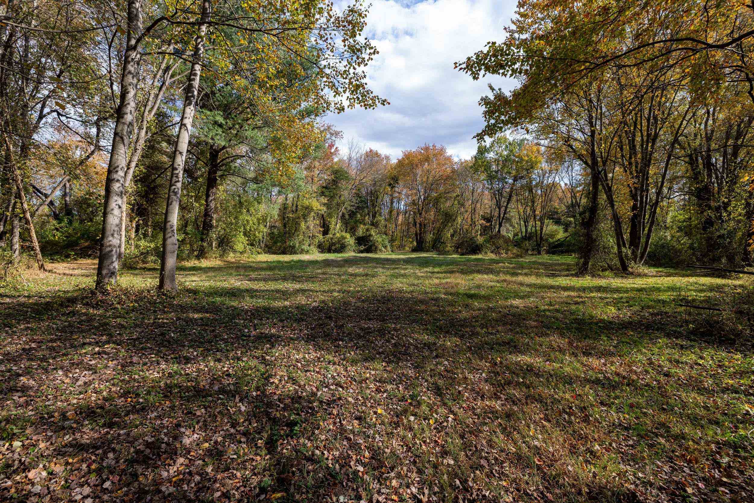 0 Dry Run Road Luray, VA 22835 - Photo 50 of 73