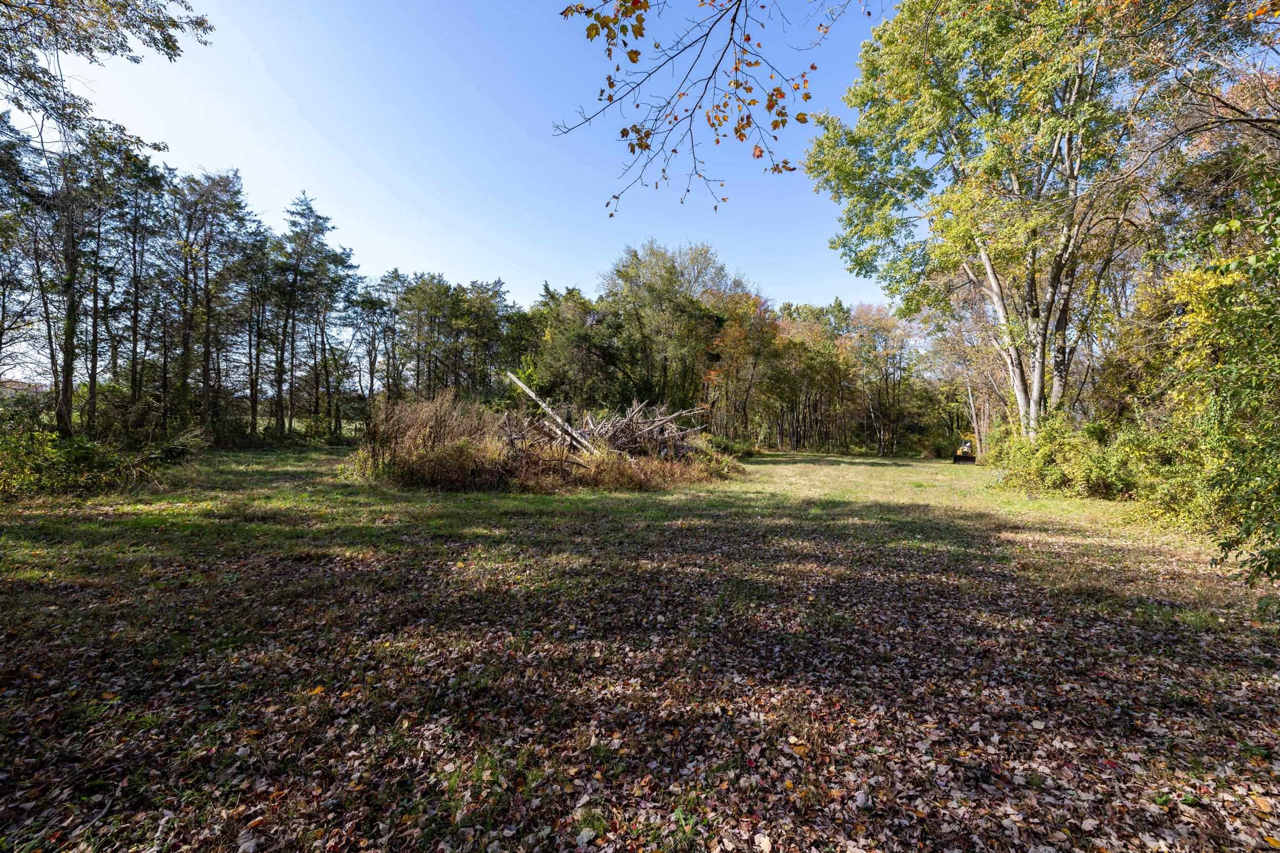 0 Dry Run Road Luray, VA 22835 - Photo 51 of 73