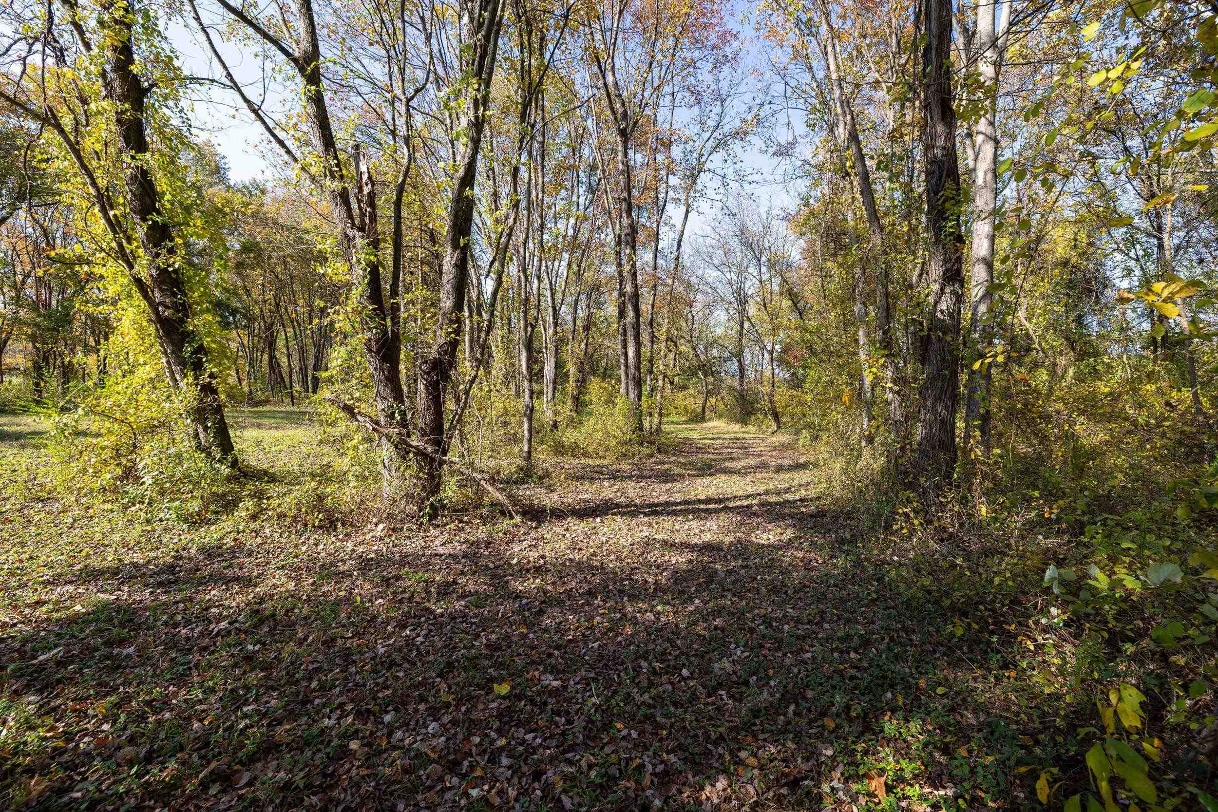 0 Dry Run Road Luray, VA 22835 - Photo 52 of 73