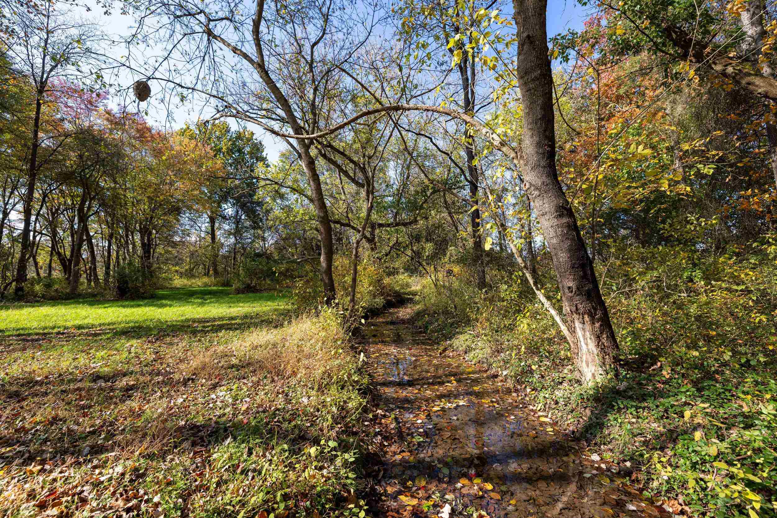 0 Dry Run Road Luray, VA 22835 - Photo 53 of 73