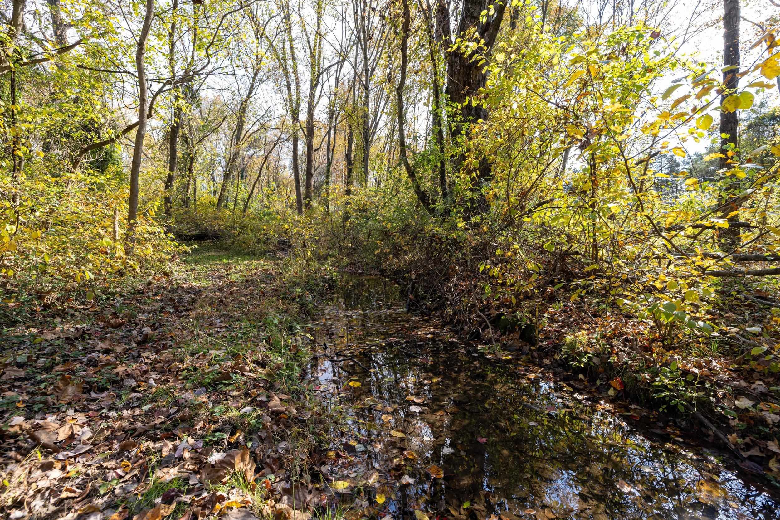0 Dry Run Road Luray, VA 22835 - Photo 55 of 73
