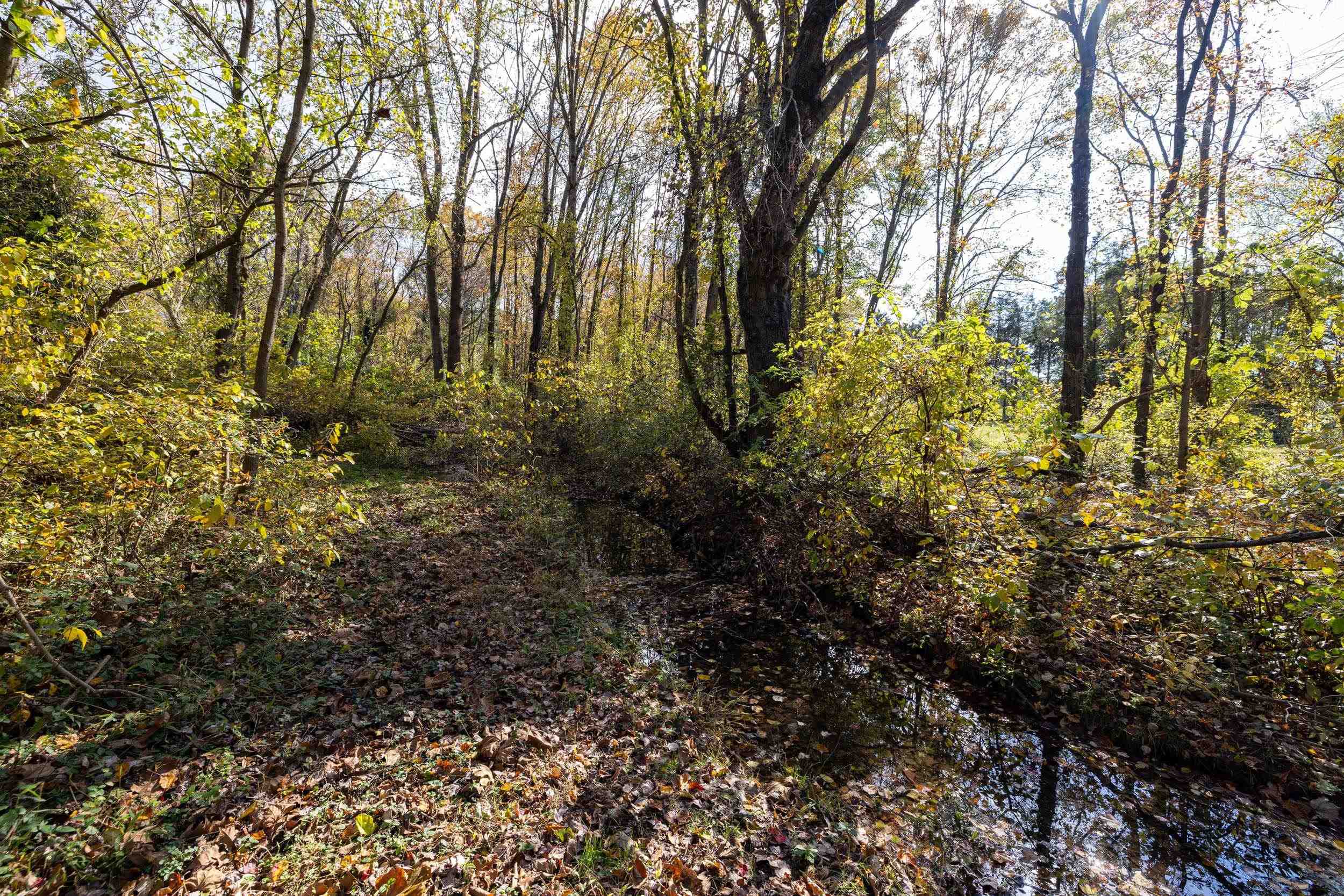0 Dry Run Road Luray, VA 22835 - Photo 56 of 73