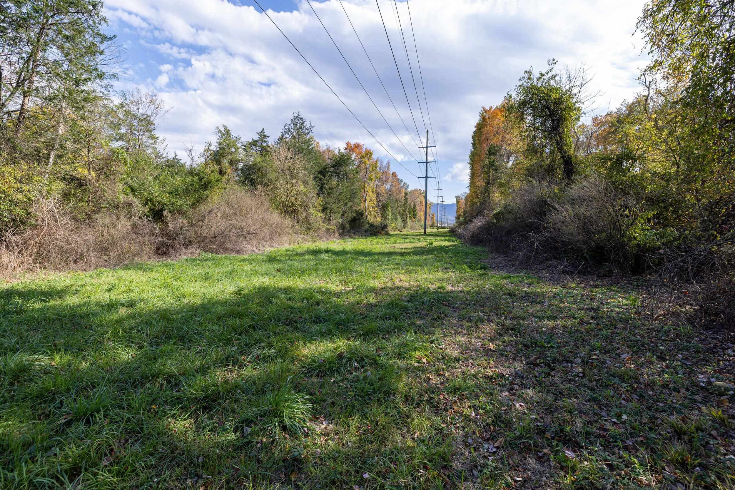 0 Dry Run Road Luray, VA 22835 - Photo 57 of 73