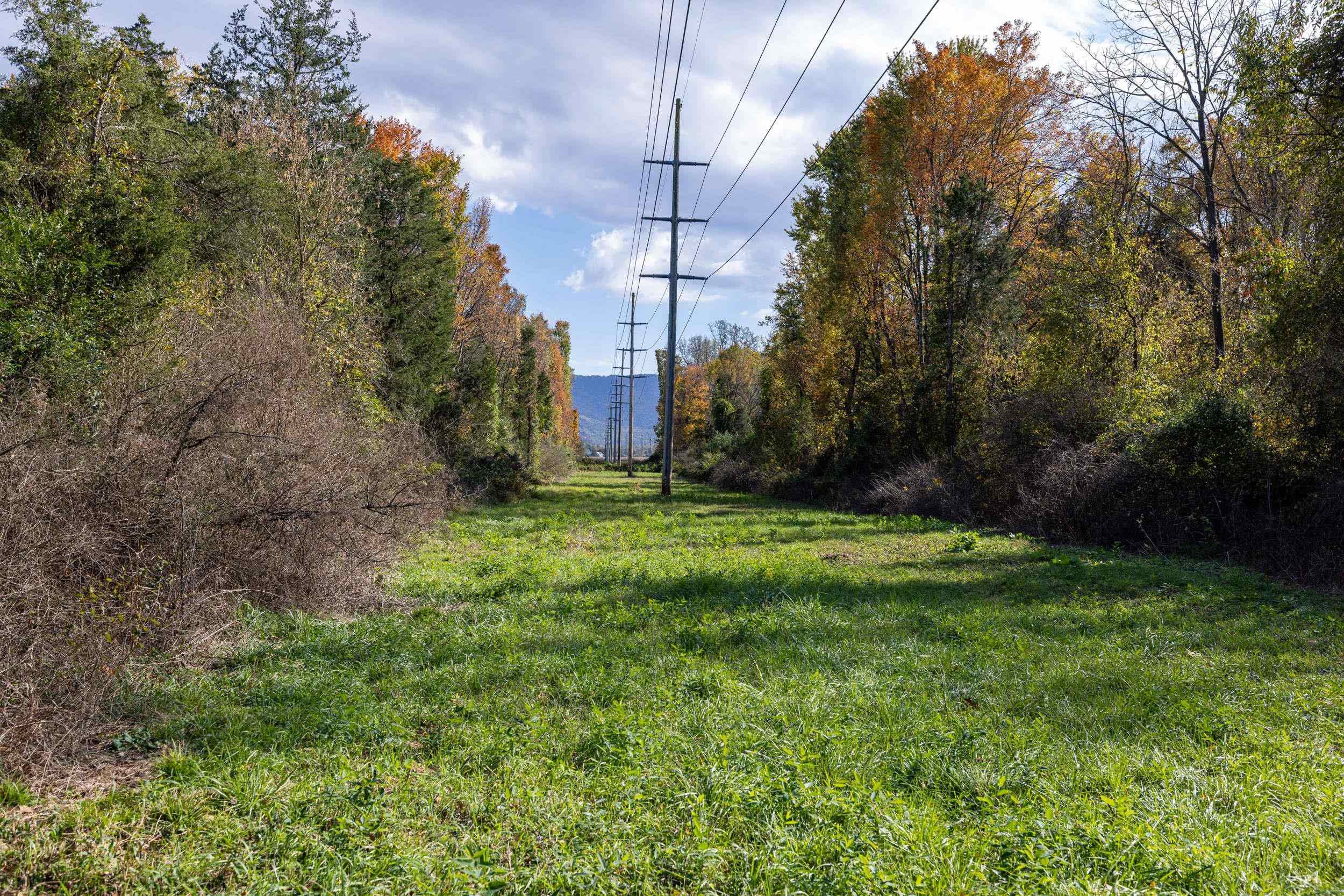 0 Dry Run Road Luray, VA 22835 - Photo 58 of 73 a view of a yard
