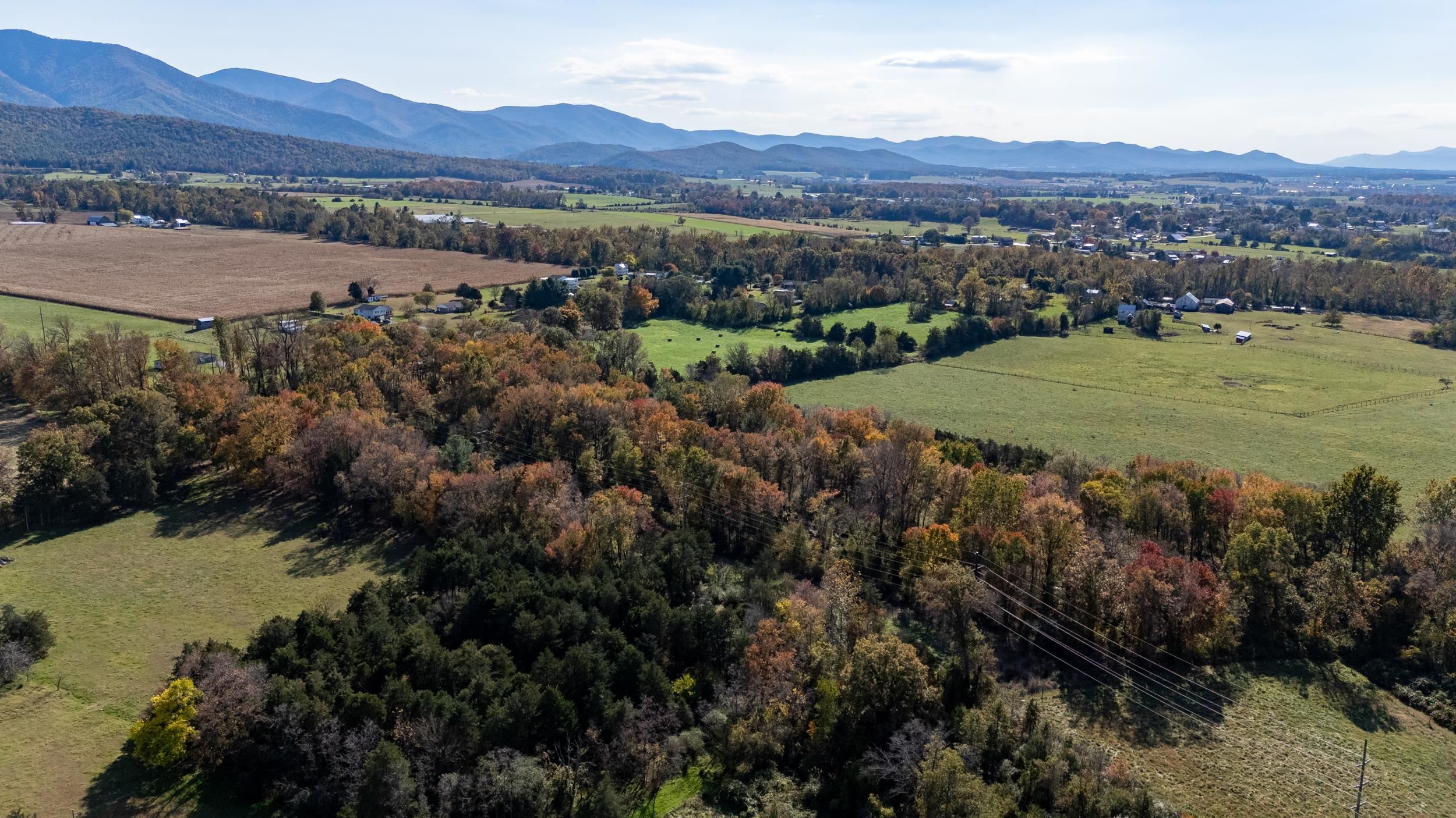 0 Dry Run Road Luray, VA 22835 - Photo 6 of 73