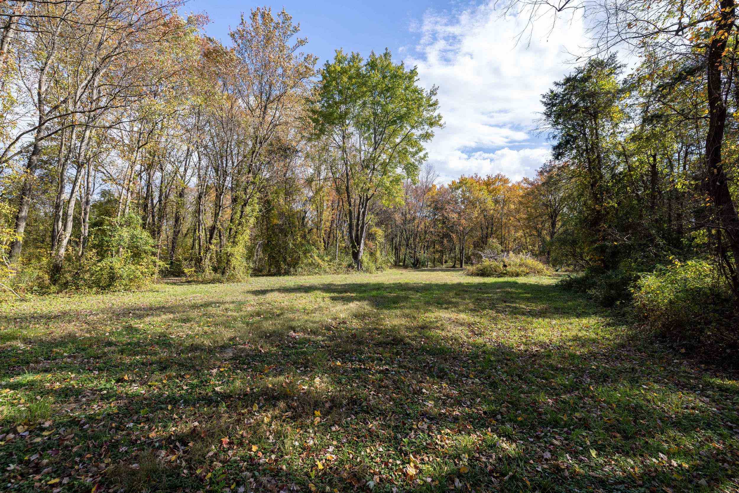 0 Dry Run Road Luray, VA 22835 - Photo 62 of 73