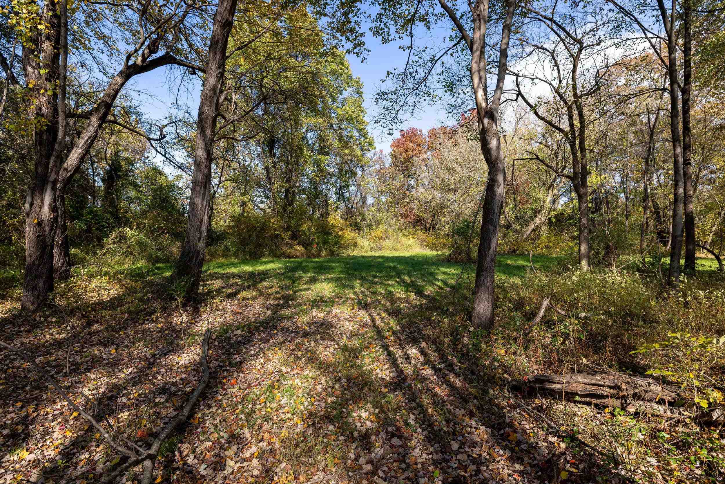 0 Dry Run Road Luray, VA 22835 - Photo 64 of 73 a big yard with lots of green space and house