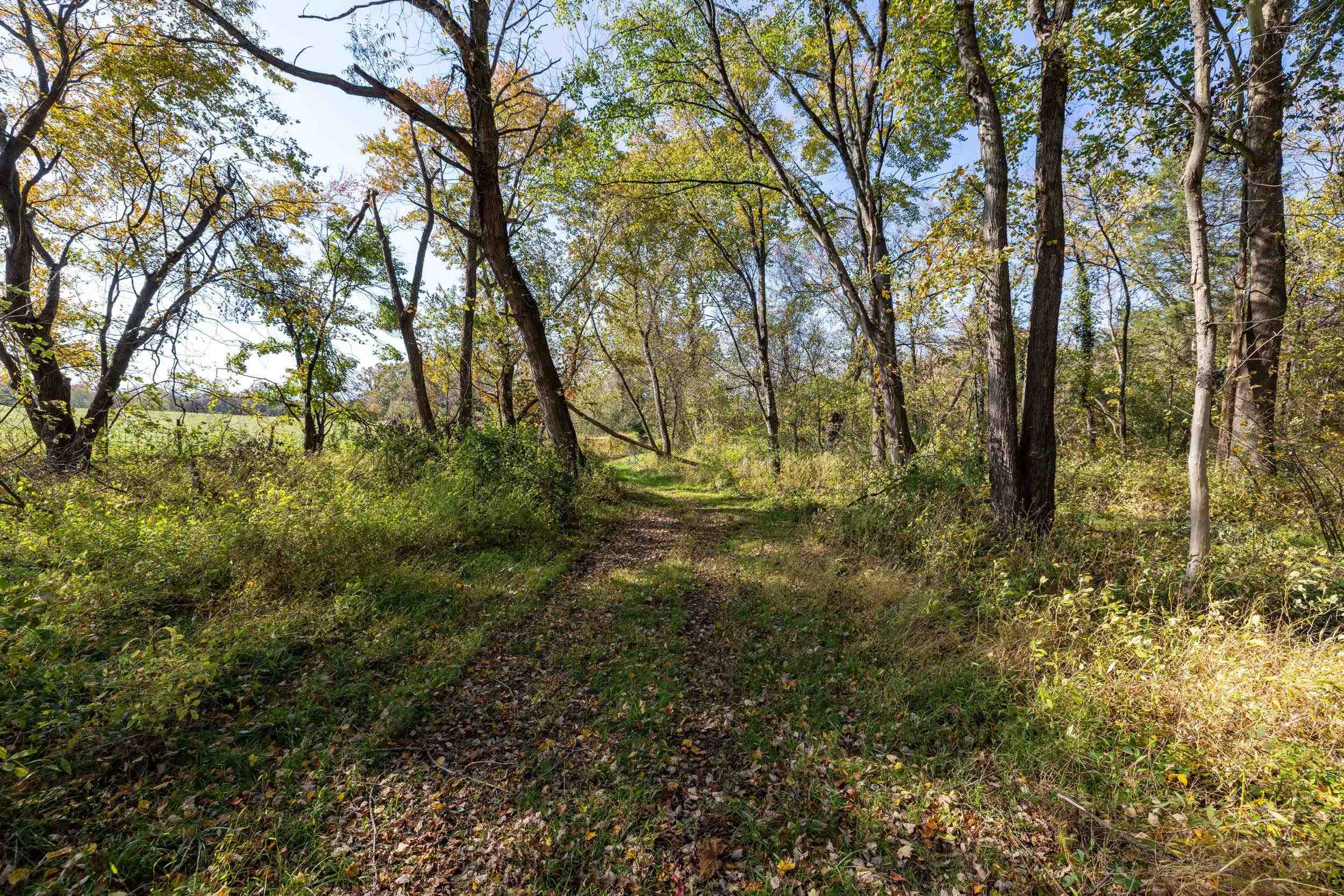 0 Dry Run Road Luray, VA 22835 - Photo 65 of 73 a view of outdoor space and trees
