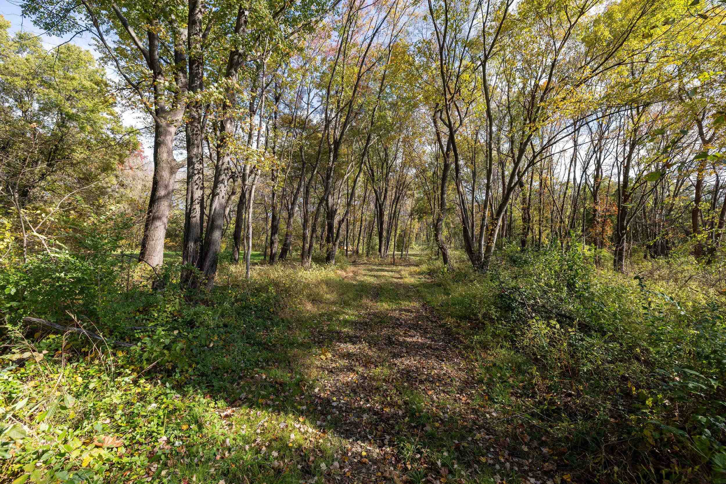 0 Dry Run Road Luray, VA 22835 - Photo 66 of 73 a view of outdoor space and yard