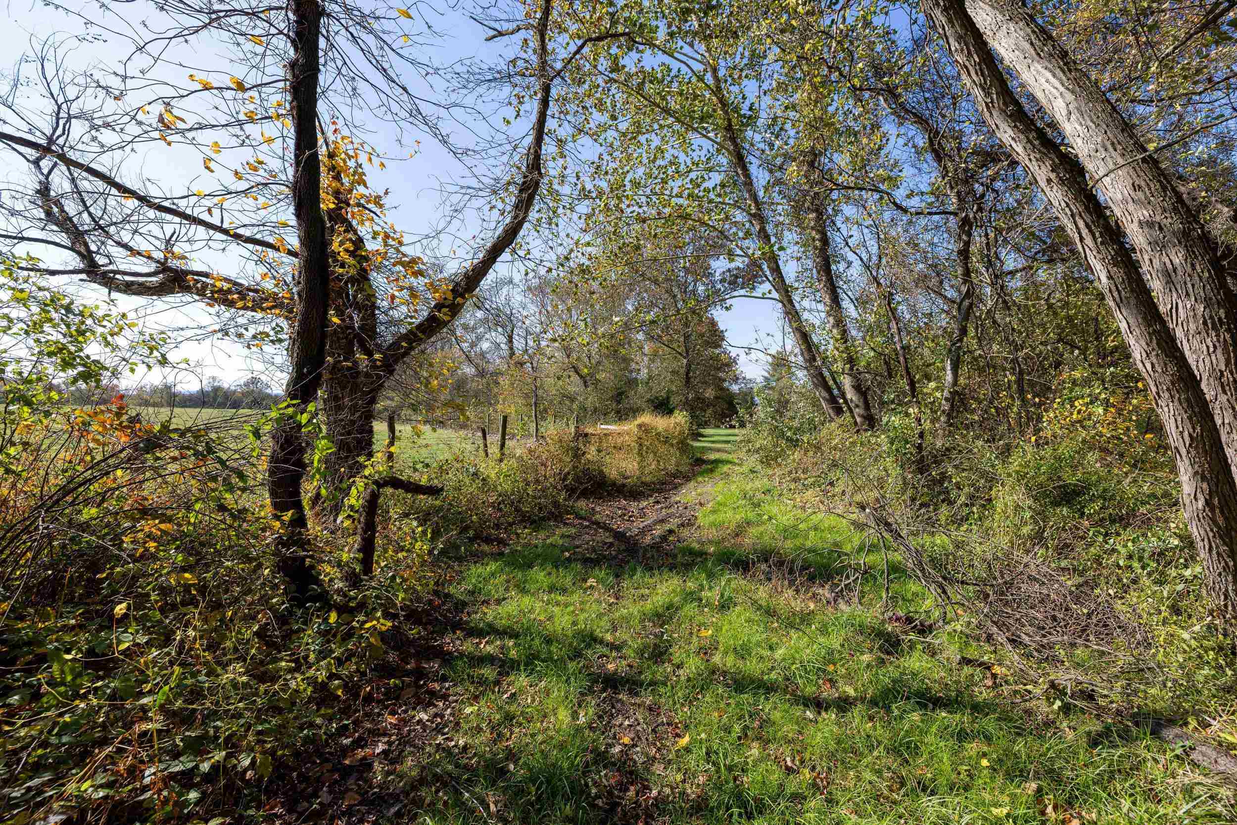 0 Dry Run Road Luray, VA 22835 - Photo 67 of 73 a backyard of a house with lots of green space