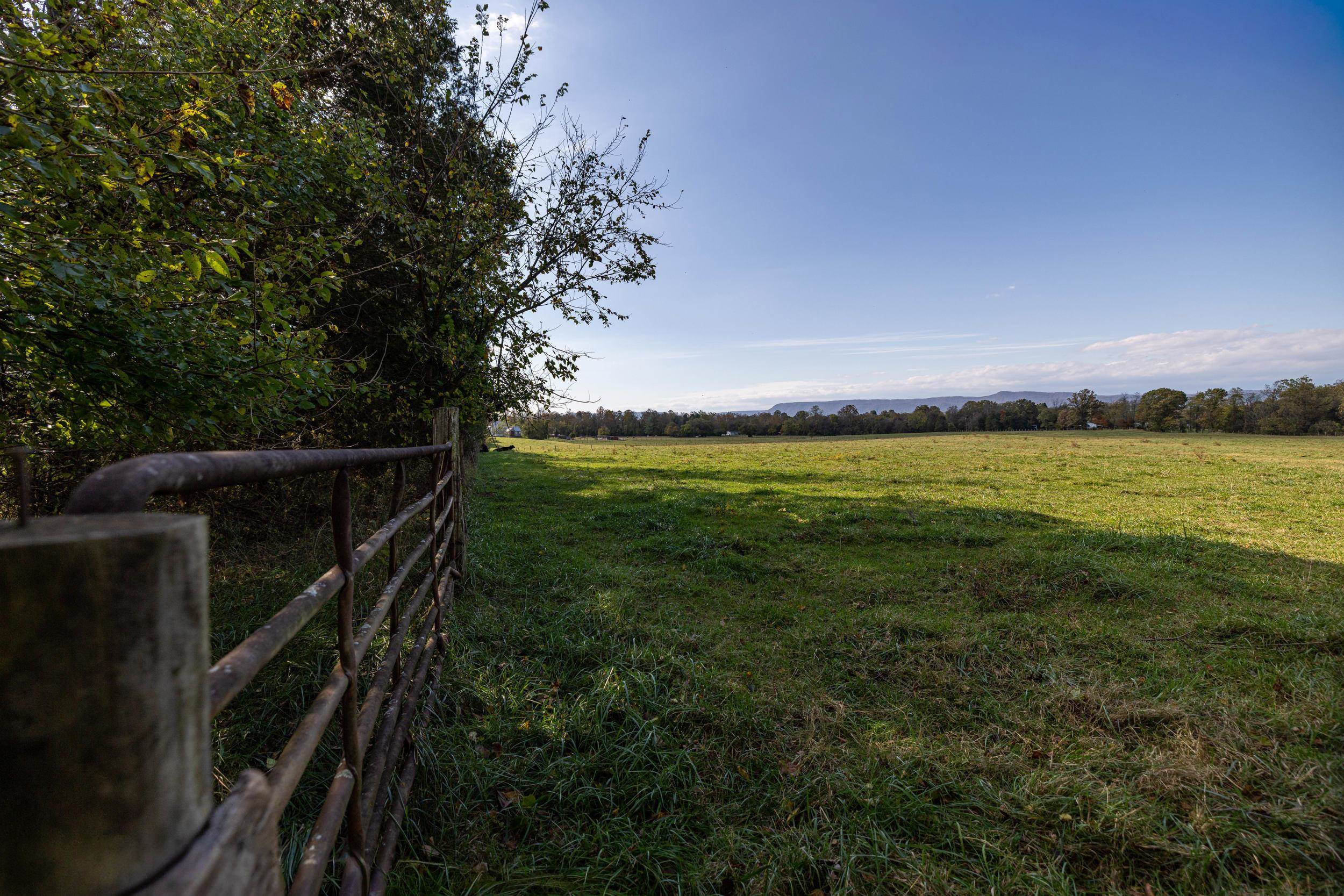 0 Dry Run Road Luray, VA 22835 - Photo 70 of 73