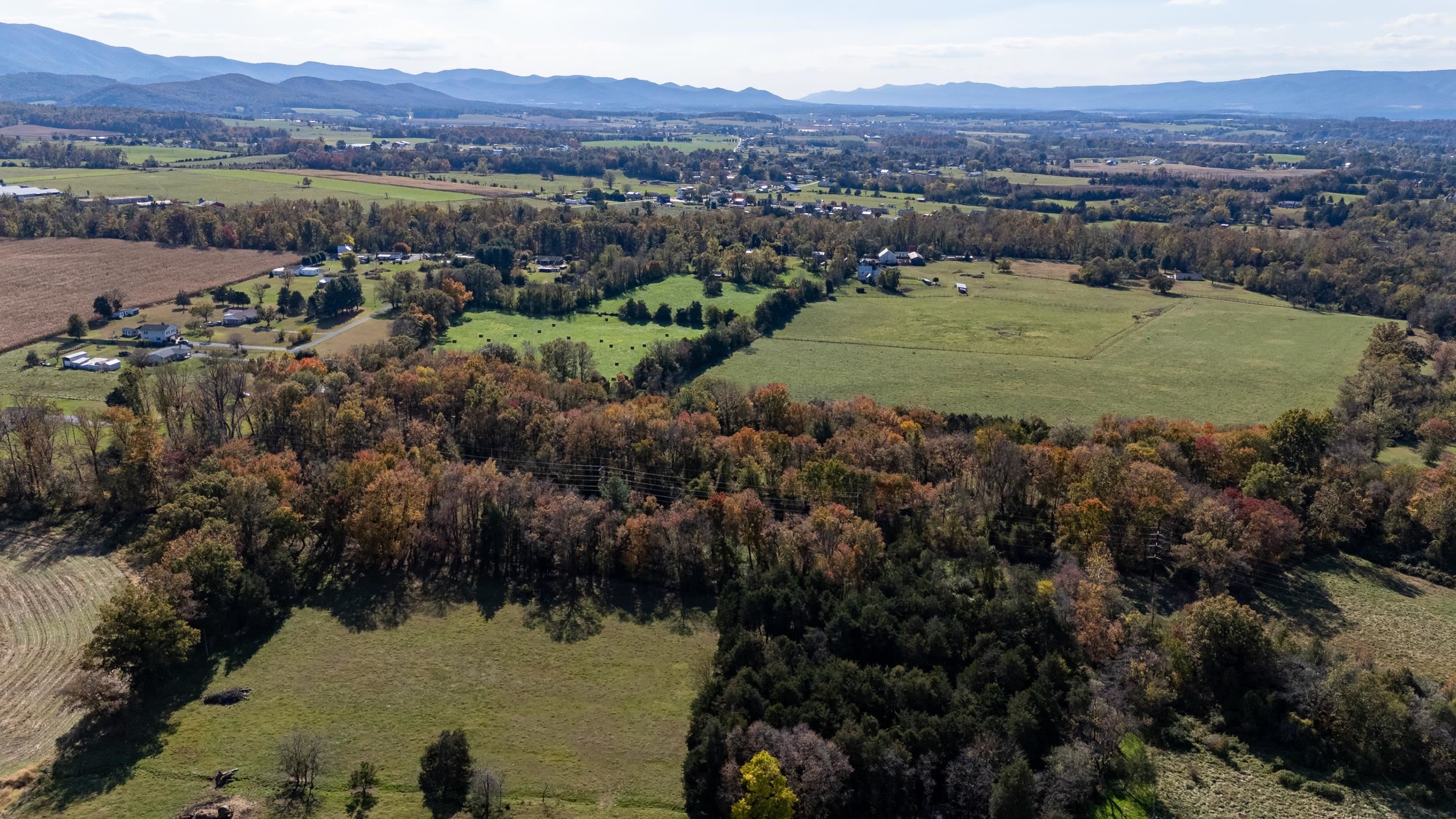 0 Dry Run Road Luray, VA 22835 - Photo 7 of 73