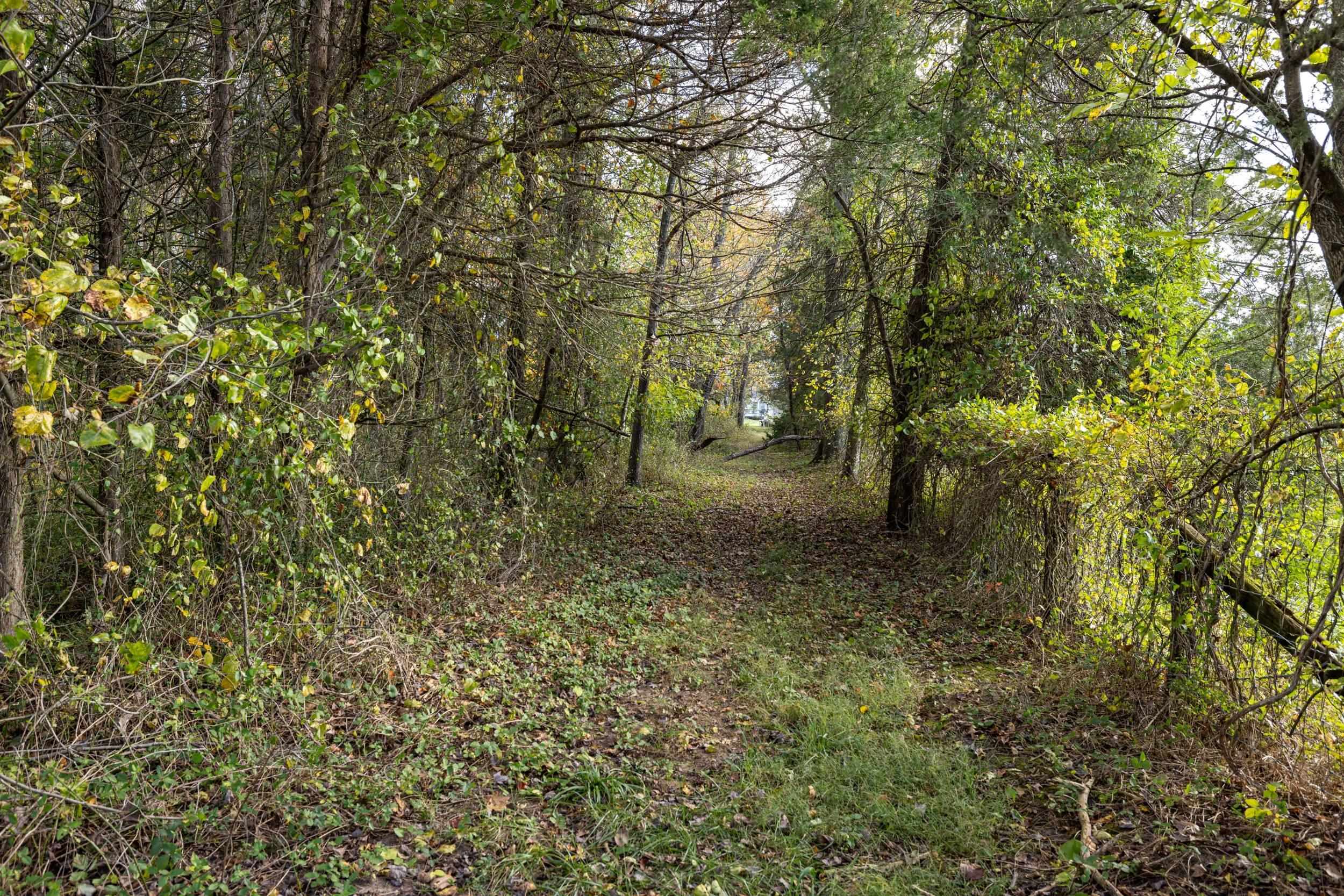 0 Dry Run Road Luray, VA 22835 - Photo 71 of 73
