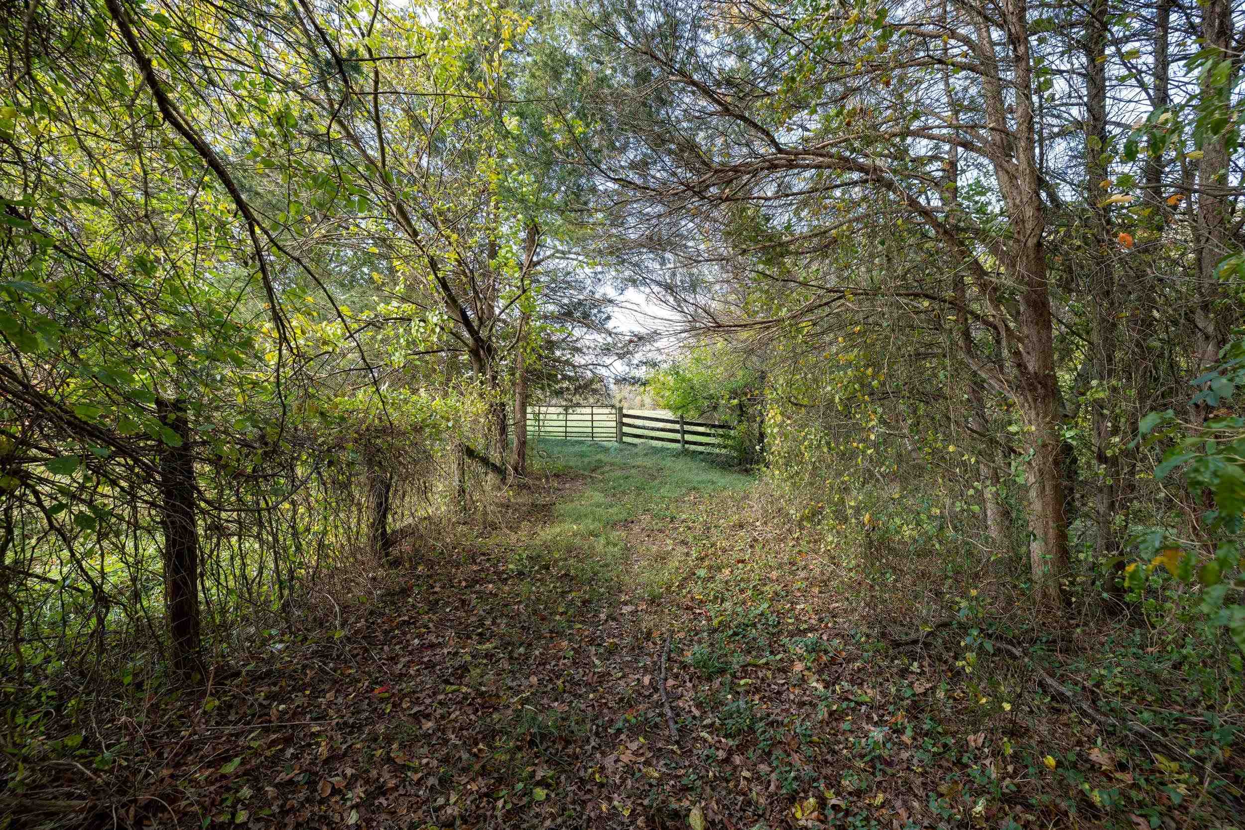 0 Dry Run Road Luray, VA 22835 - Photo 73 of 73