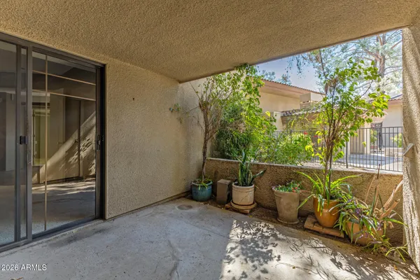 a house view with a backyard space
