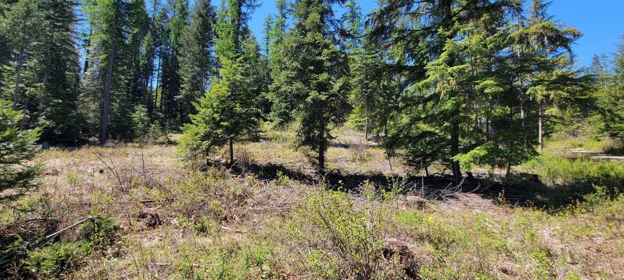 4141 X Rose Hill Road Springdale, WA 99173 - Photo 3 of 7