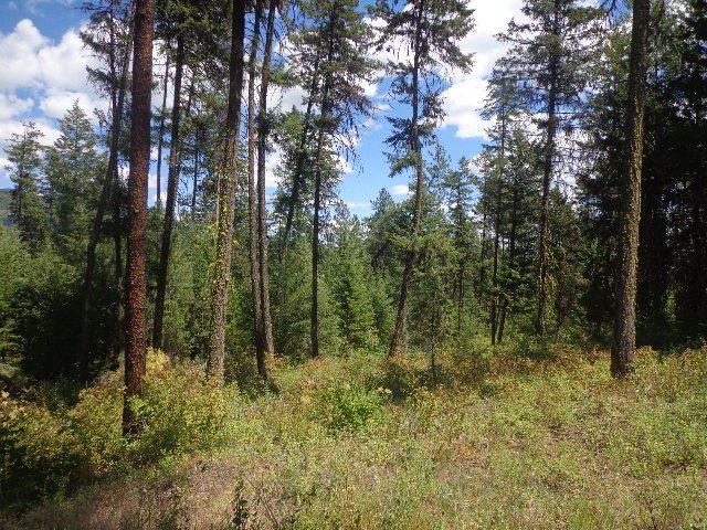 540-b&d Dolomite Road Colville, WA 99114 - Photo 1 of 18