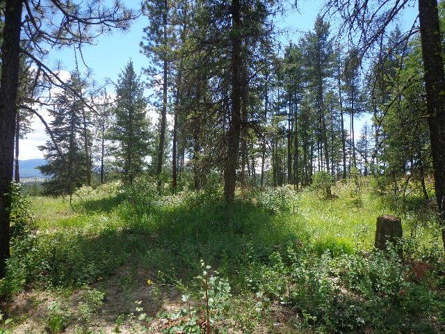 540-b&d Dolomite Road Colville, WA 99114 - Photo 2 of 18