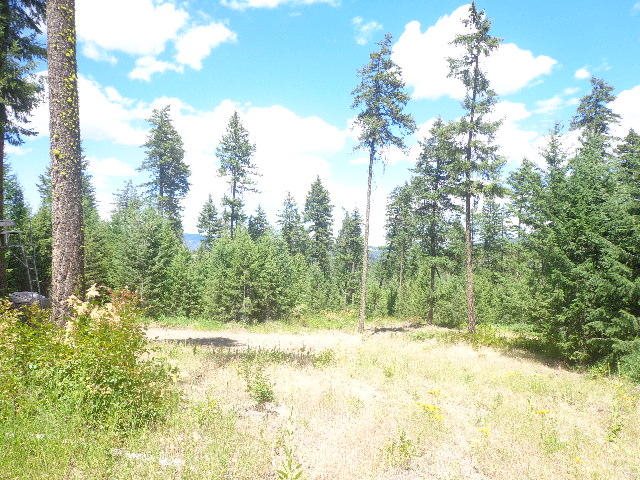 540-b&d Dolomite Road Colville, WA 99114 - Photo 11 of 18