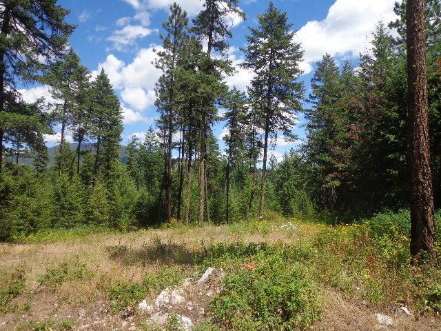 540-b&d Dolomite Road Colville, WA 99114 - Photo 13 of 18