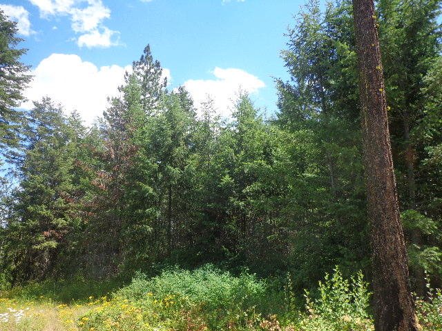 540-b&d Dolomite Road Colville, WA 99114 - Photo 14 of 18