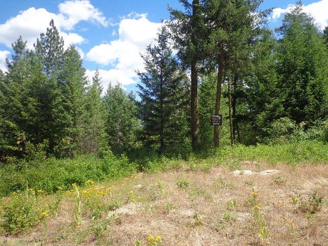 540-b&d Dolomite Road Colville, WA 99114 - Photo 15 of 18