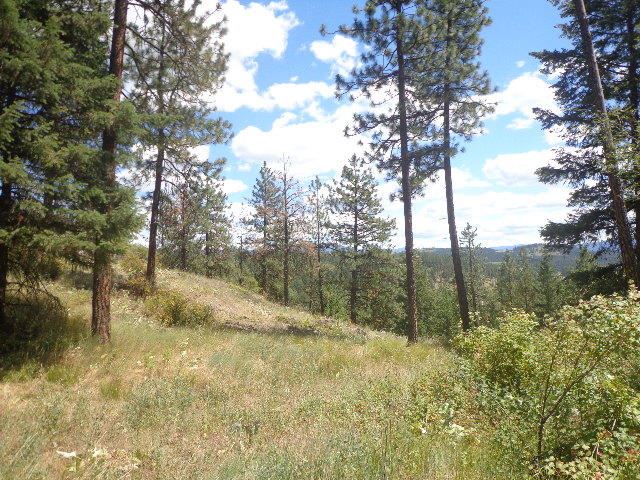 540-b&d Dolomite Road Colville, WA 99114 - Photo 16 of 18