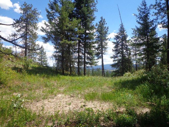 540-b&d Dolomite Road Colville, WA 99114 - Photo 3 of 18