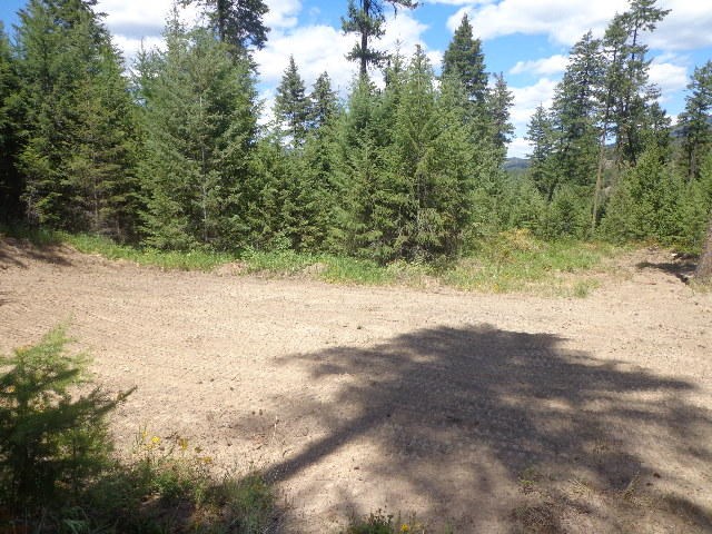 540-b&d Dolomite Road Colville, WA 99114 - Photo 4 of 18