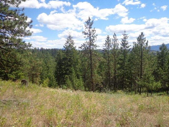 540-b&d Dolomite Road Colville, WA 99114 - Photo 5 of 18