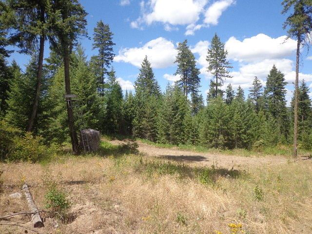 540-b&d Dolomite Road Colville, WA 99114 - Photo 6 of 18