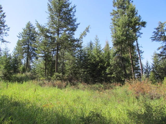 540-b&d Dolomite Road Colville, WA 99114 - Photo 7 of 18
