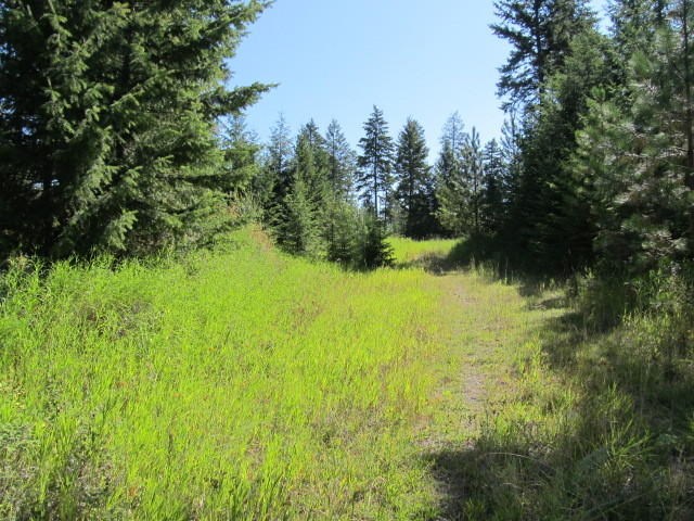 540-b&d Dolomite Road Colville, WA 99114 - Photo 8 of 18