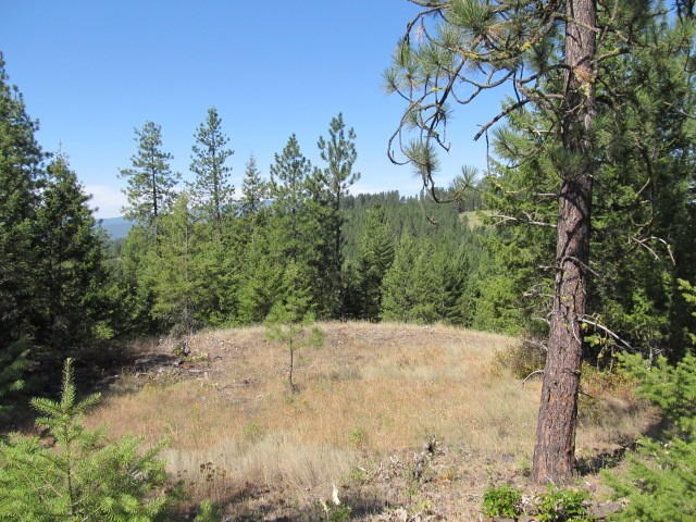540-b&d Dolomite Road Colville, WA 99114 - Photo 9 of 18