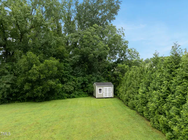 a view of a trees with a field